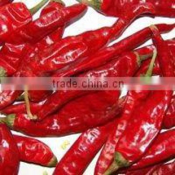Indian Oleoresin Capsicum by AOS