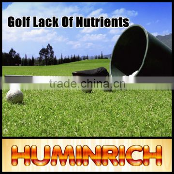 FAQ 6--Ways To Solve The Golf The Lack Of Nutrients