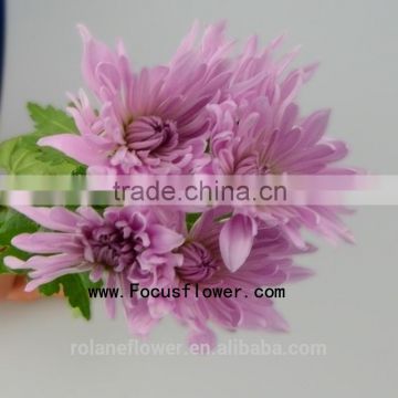 Good Smell Classical Big Head Chrysanthemum With 10 Stems/Bundle Yunnan Chrysanthemum With 0.5kg/Bundle Chrysanthemum Pink Color