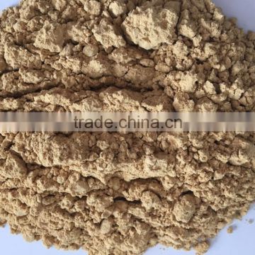 high quality ginger extract ginger powder with low price