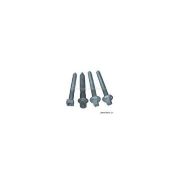 Sell Square Head Timber Screw Spikes