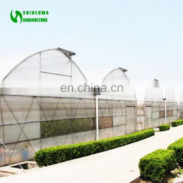 China Supplier Multi-span Plastic Film Agricultural Greenhouse For Sale