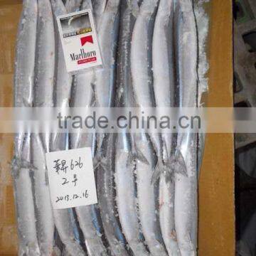 2016 New Coming Frozen saury for sale