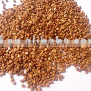 Roasted Buckwheat kernels 2010 crop