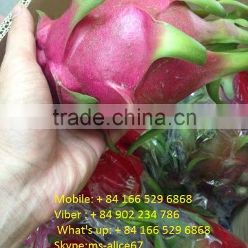 HKVIMEX export dragon fruit