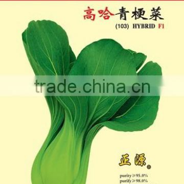 The pak choi seeds baby vegetable seeds