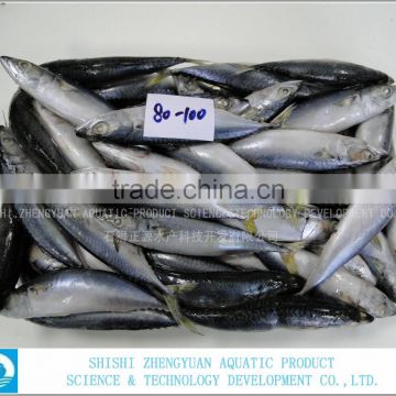 100-150g Best Price Frozen Mackerel Fish