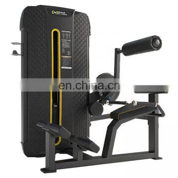 Most Popular Dhz Fitness E4031A Indoor Commercial Gym Equipment For Back Extension