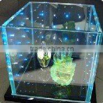 led inside glass/ led glass