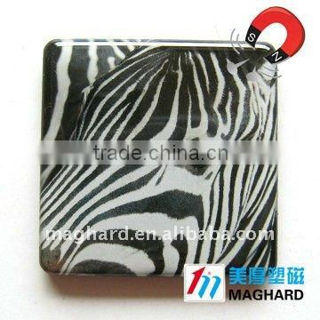 animal protection zebra Magnetic Epoxy Gift promotion products fridge magnet