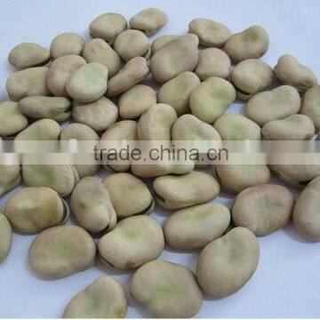 Chinese faba beans