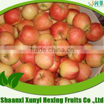 Qinguan Apple Import From China