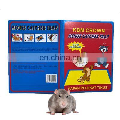 Sticky Rat Glue Pads Catch Mice Indoor And Outdoor Peanut Smell Mouse Size Glue Boards Traps For Mice Rats Rodents