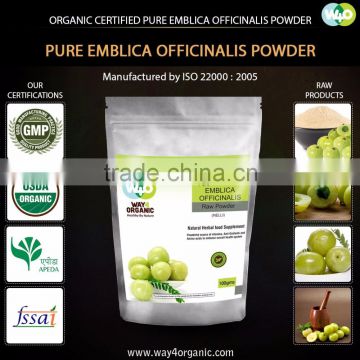 Natural Emblica officinalis (Amla) Powder Manufacturer