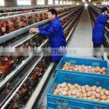 2015 new design hot sale chicken egg layer cages in south africa