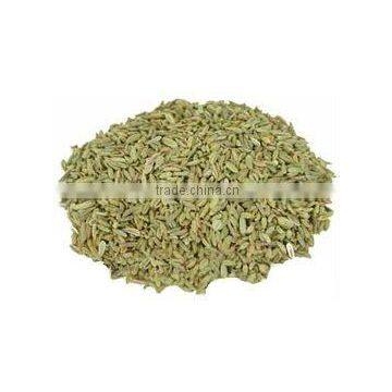 Fennel seed