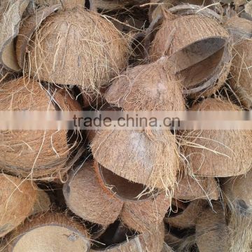 matured coconut shell