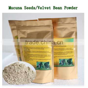 Thailand Kasetsart University Velvet Bean /Mucuna Powder Increase Libido