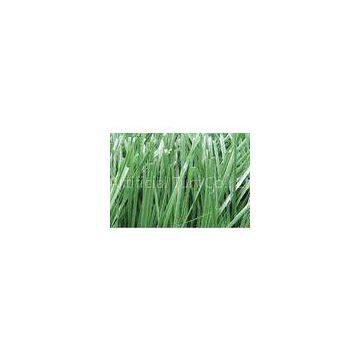 Field Green Synthetic Turf Lawns 50mm 9800Dtex Football Artificial Grass