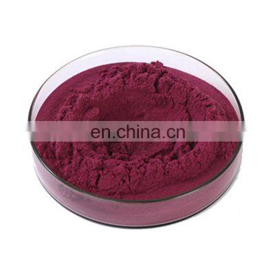 100% Natural 25% Anthocyanins Black Elderberry Extract Powder