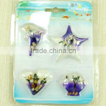 Souvenir and Gift Fridge Magnet for Different Countries with Sea-life