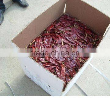 2012 new crop sweet chili
