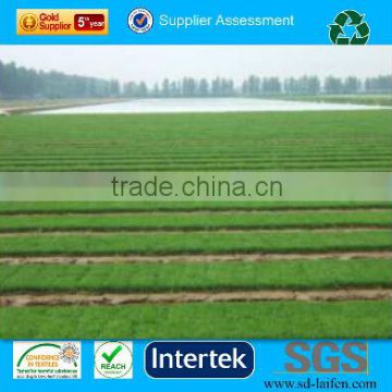UV stablized PP spunbond nonwoven fabric for agriculture,crop cover,gardening