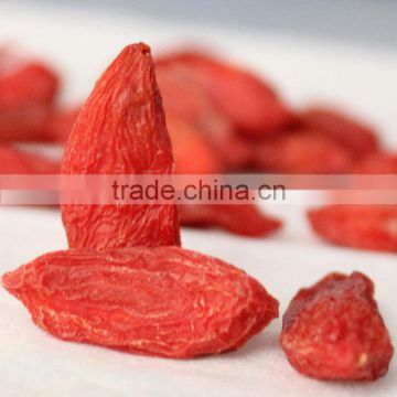 Wholesale 2016new stock lycium Chinese wolfberry in ningxia Medlar tonic yiqi nerves