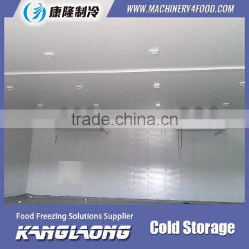 2015 New Design Professional Cold Room For Fruit