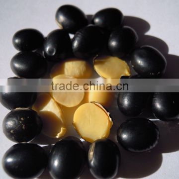 organic black bean yellow kernel