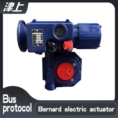 Manufacturers recommend Bernard partial rotary electric actuator A+RS100/K48Z RS485 bus protocol