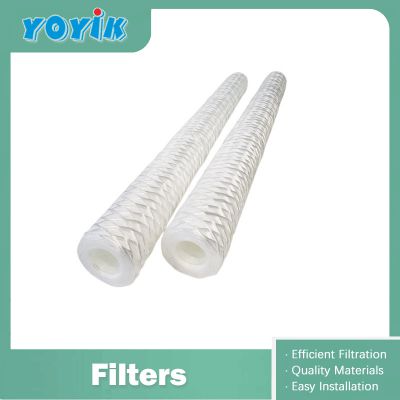 factory in China pp water filter WFF-125-1 stator cooling water outlet filter China replacement supplier
