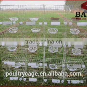 Commercial Galvanized Cage Of Pigeon For Sale Cheap
