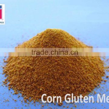 Corn Protein powder in Corn Gluten Meal