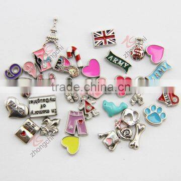 over 1000 design mixed 6MM small charms for floating locket