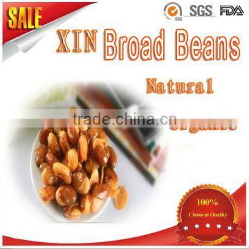 New crop adult snack Crispy Fried salted broad bean supplier with belt agricultural health food