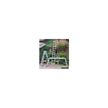 Multi-purpose Ladder