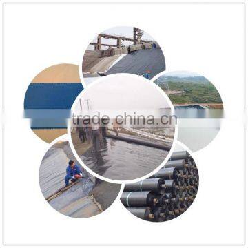 HDPE geomembrane