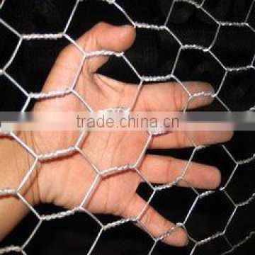 hexagonal decorative chicken wire mesh hexagonal wire mesh(Factory)