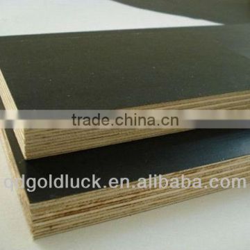 waterproof film faced plywood for concret / film faced plywood buyers /