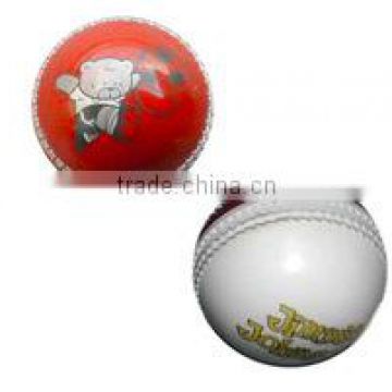 Practise Cricket PVC Ball