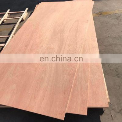 Plywood board   bintangor  face plywood combi core  plywood from China