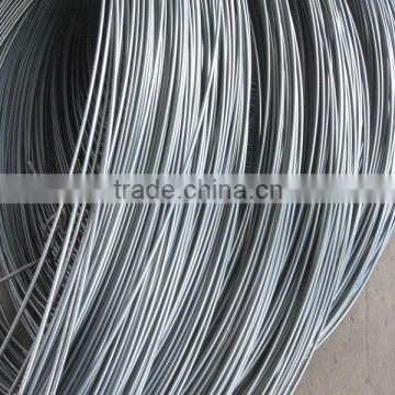5.5mm wire rod in coils