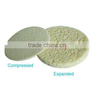 compressed cellulose sponge