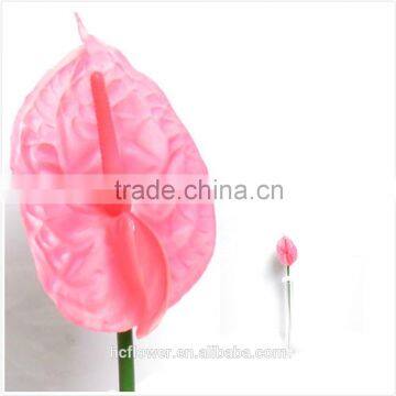 Real Touch Anthurium, Pink