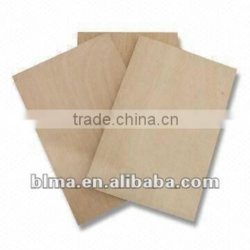 12mm E1/E2 WPB plywood for furniture