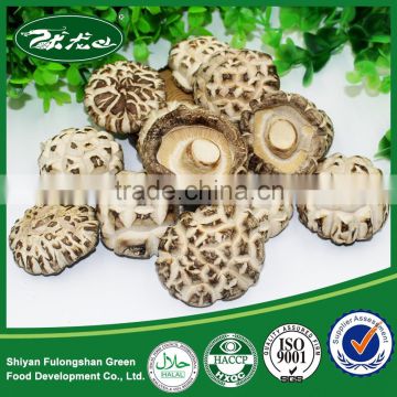 Dried flower Mushrooms best Price For Buyers From China
