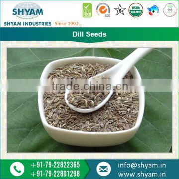 Top Quality Cleaned Dill Seeds by Certified Supplier at Lowest Market Price