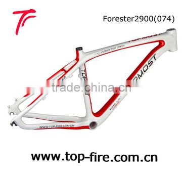 2013 fashional & durable mtb carbon frame made in China