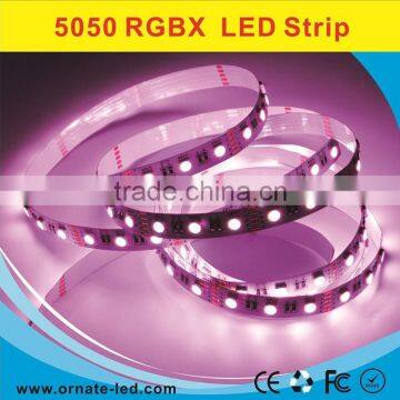 high quality with constant current design RGBW/ single color led strip 5050